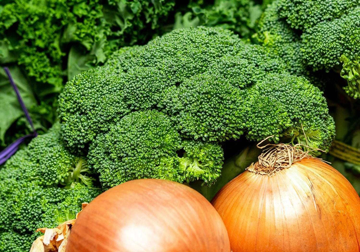 Foods that Heal - Summer Health Reset