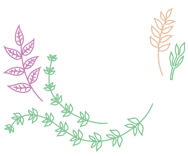 Feed Your Health