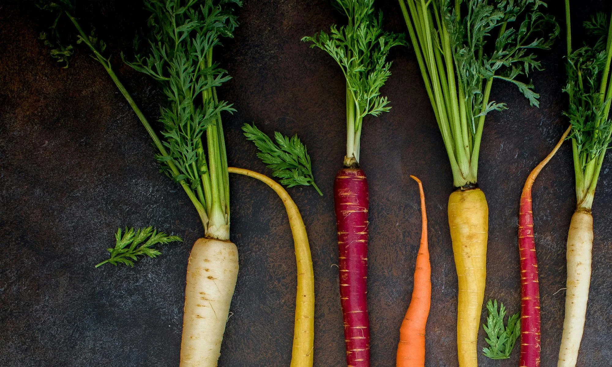 Summer Farm Visit Series — September