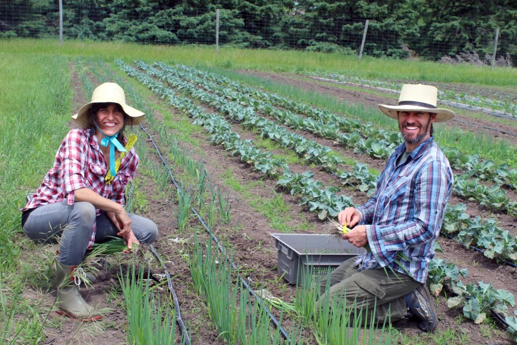A woman and man wearing garden hats and smiling while harvesting vegetables from a small field.