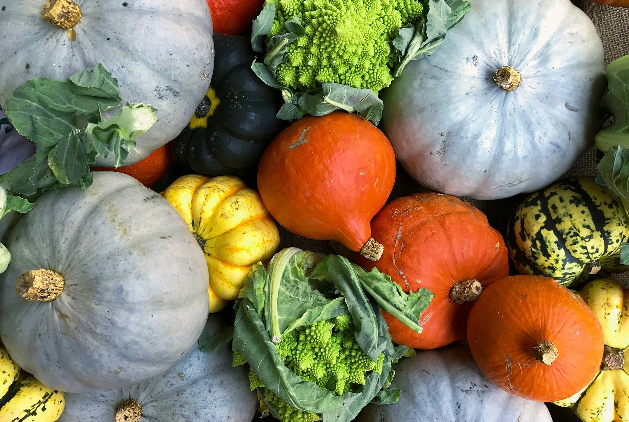 A grouping of gourds and leafy green vegetables.