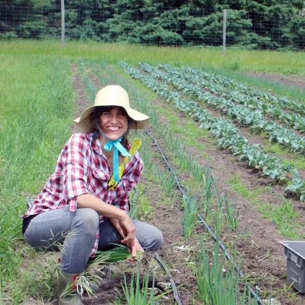 A woman wearing a hat and plaid shirt harvesting onions in a field.