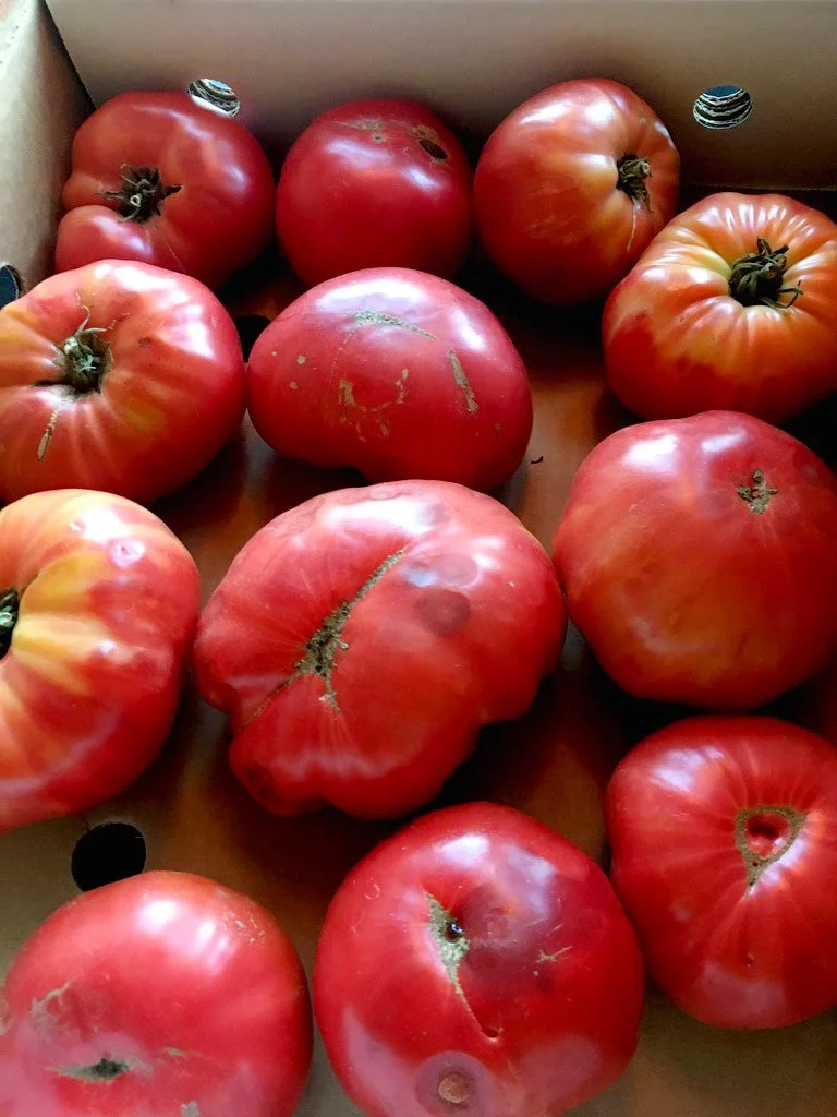 ks-hierloom-tomatoes.jpg