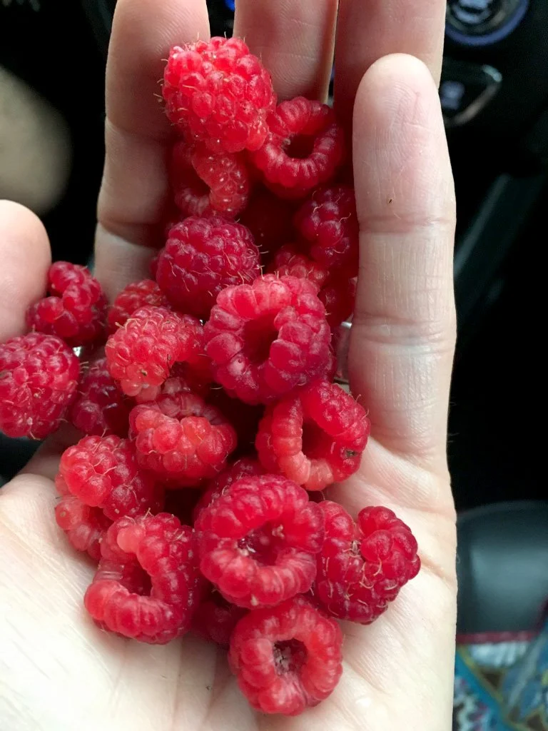ks-raspberries.jpg