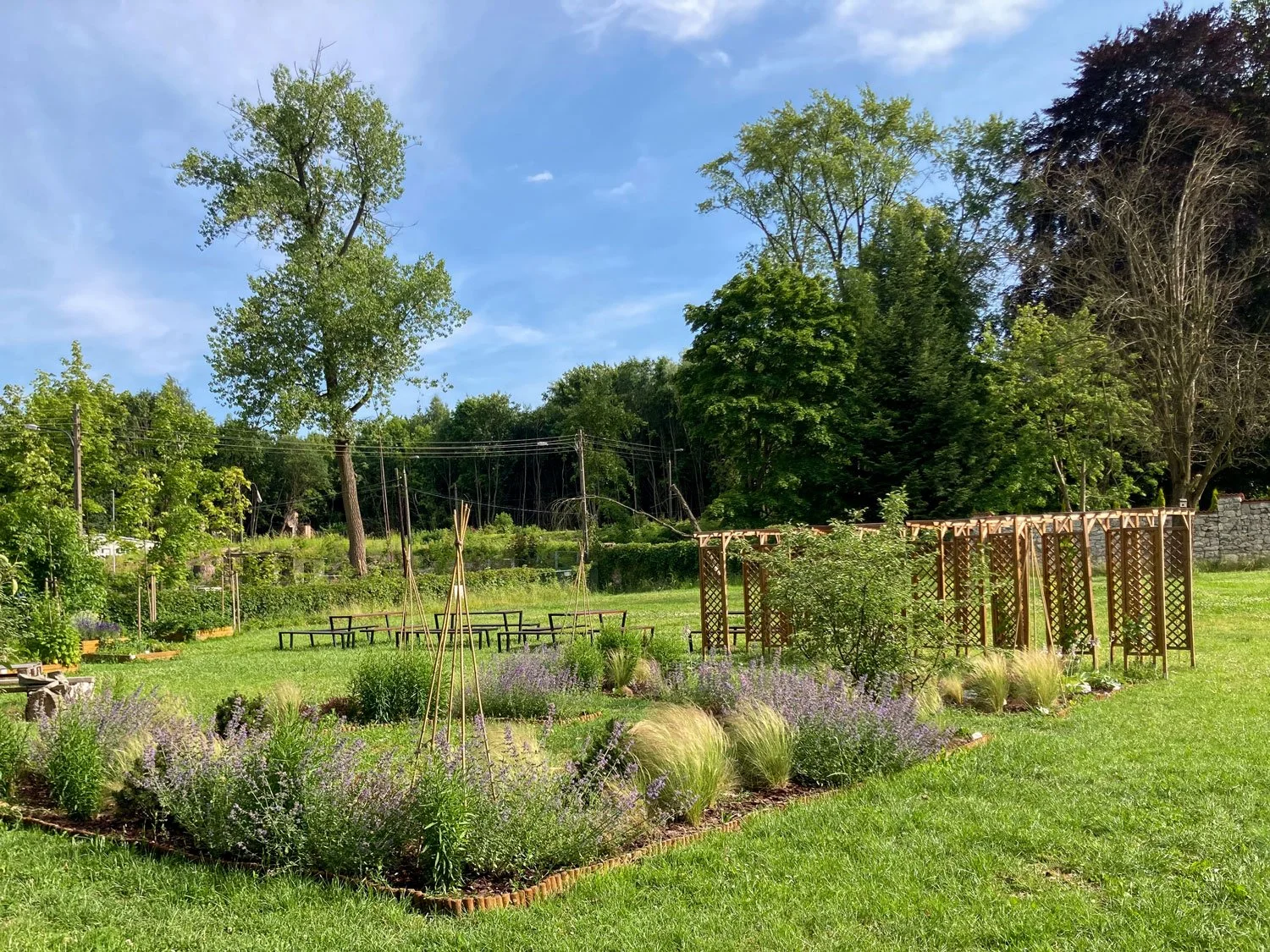 Jardin communautaire, Cracovie, Pologne.