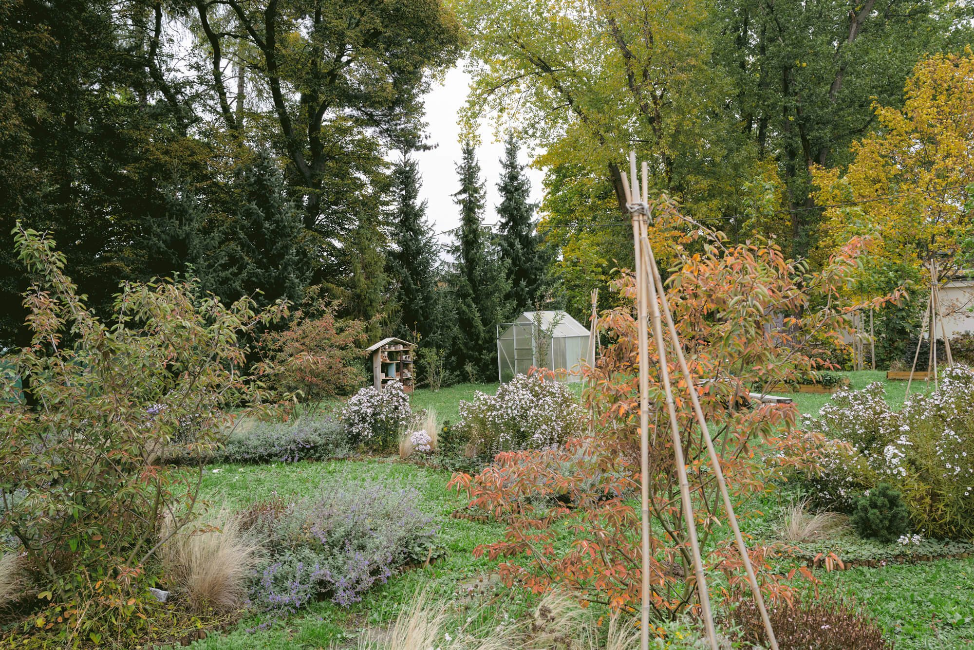 Community Garden, Krakow, Poland.
