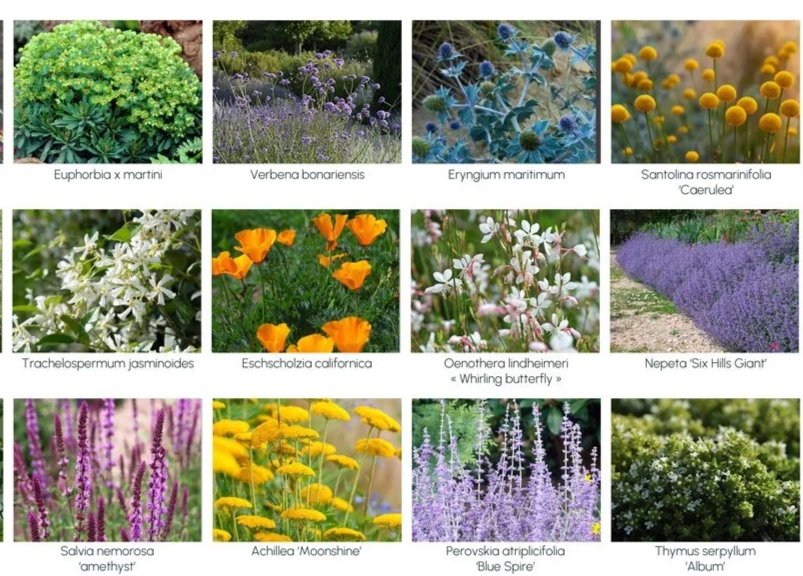 hecklist de conception de jardin réalisée par Studio Kernin, paysagistes à Rennes, Lorient, Vannes et Saint-Malo, dans le cadre d’un service de design à distance.
