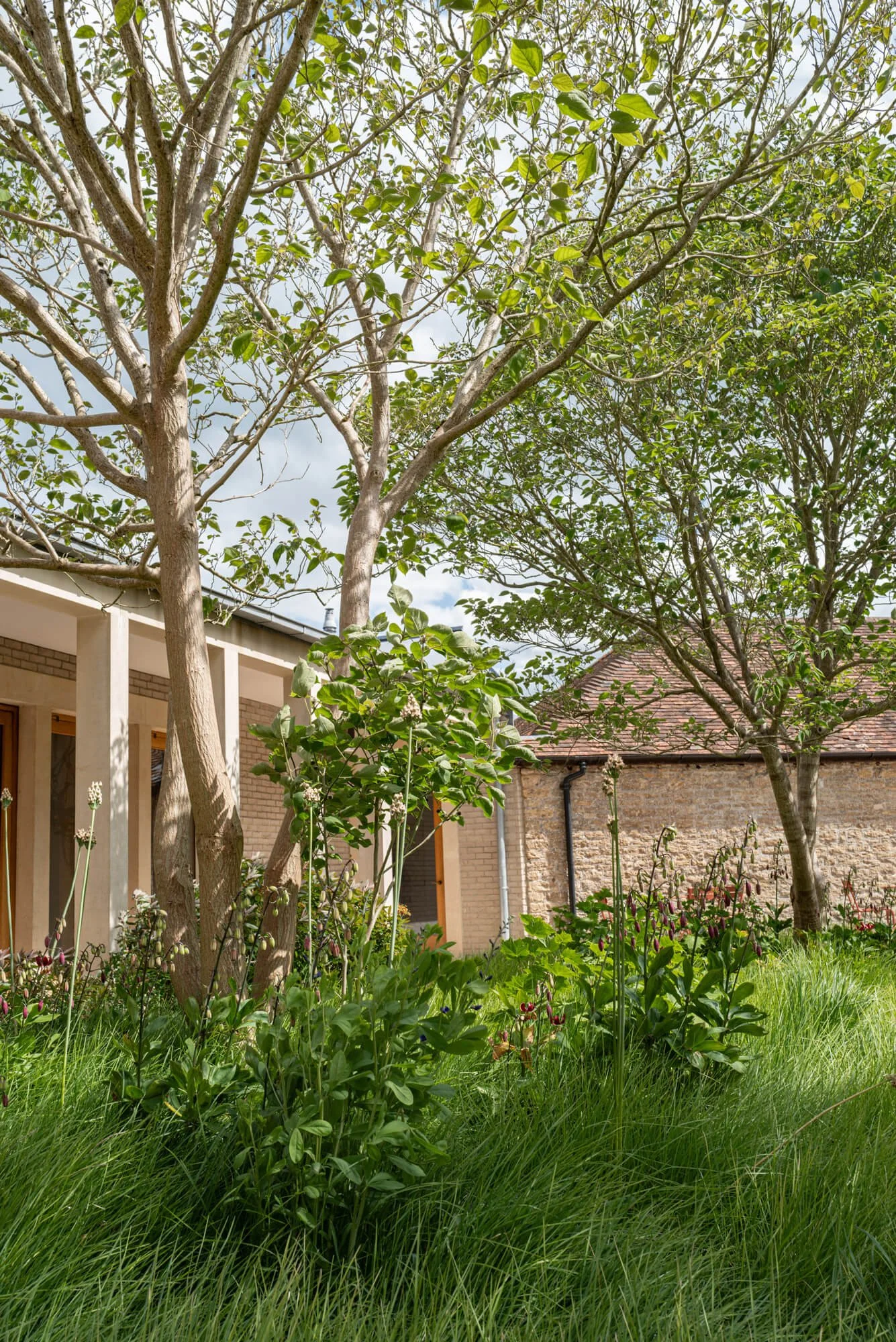 Conception sur-mesure paysagiste vannes Rennes Lorient Saint Malo Bretagne