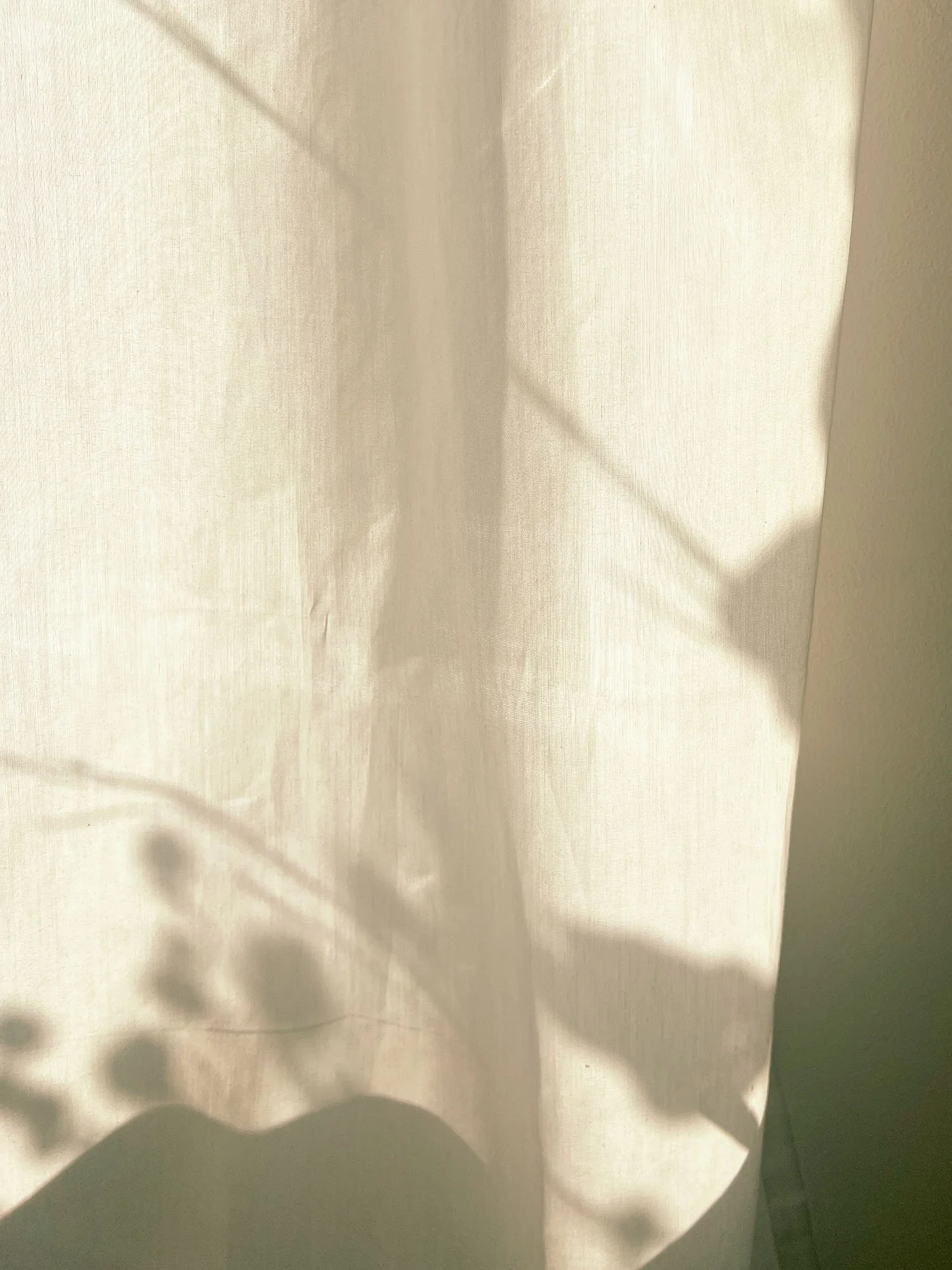 Light-BeckyHarpstrite-1.jpg