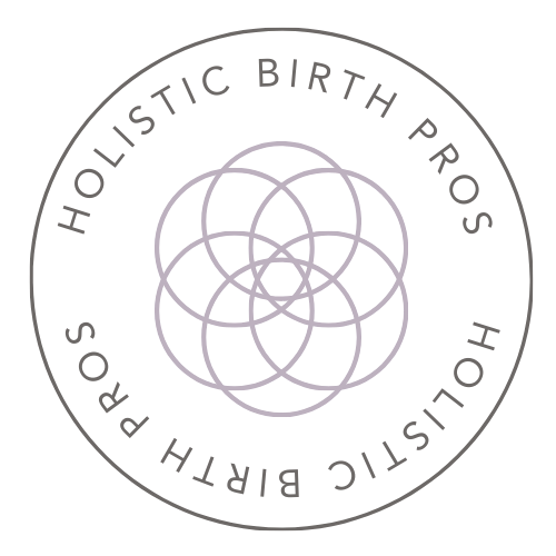 Holistic Birth Pros