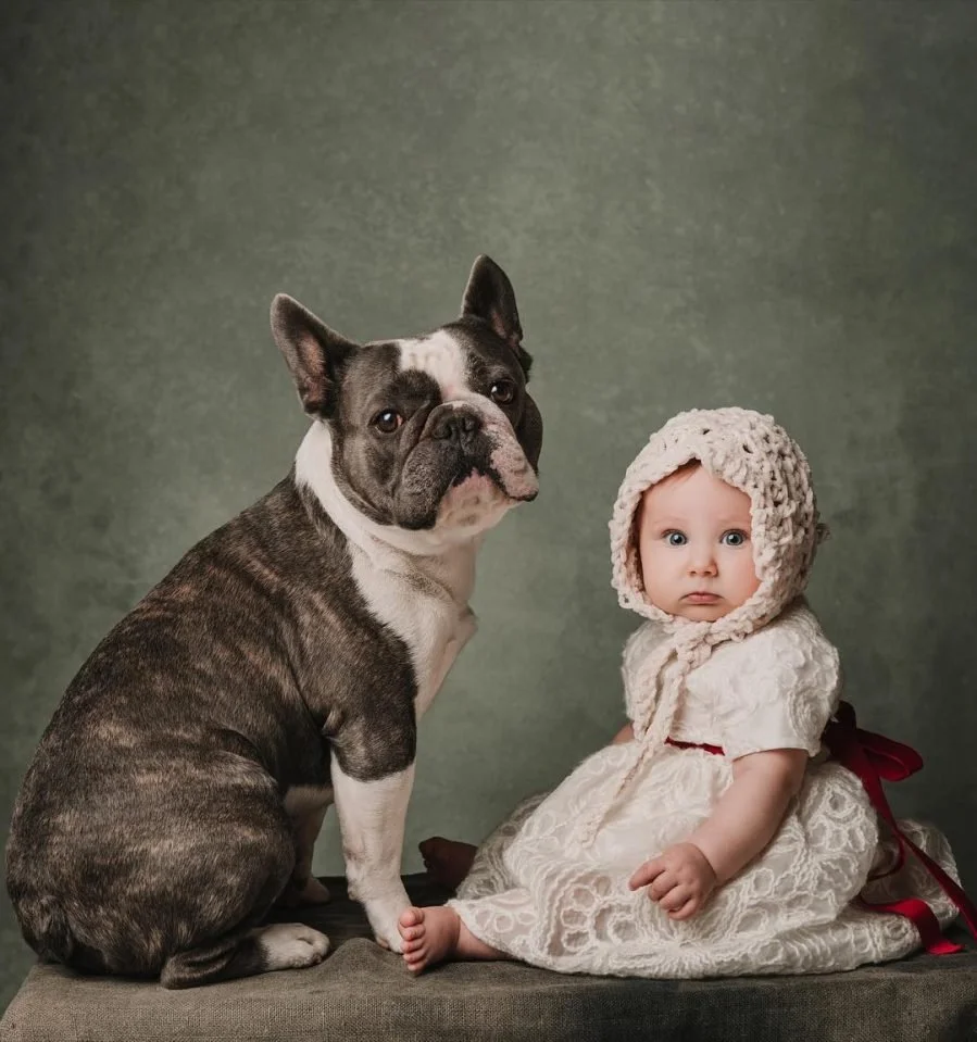 Un cane Bulldog francese e una bambina con cappello di lana e vestito bianco seduti su una superficie contro uno sfondo verde.
