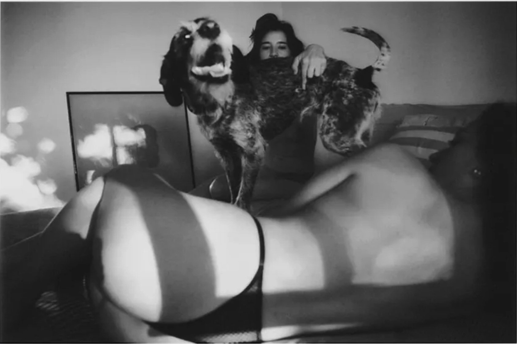 Foto in bianco e nero di una donna sdraiata, con un cane di grandi dimensioni che le si trova sopra, vicino al volto, mentre un'altra persona si intravede in lontananza.