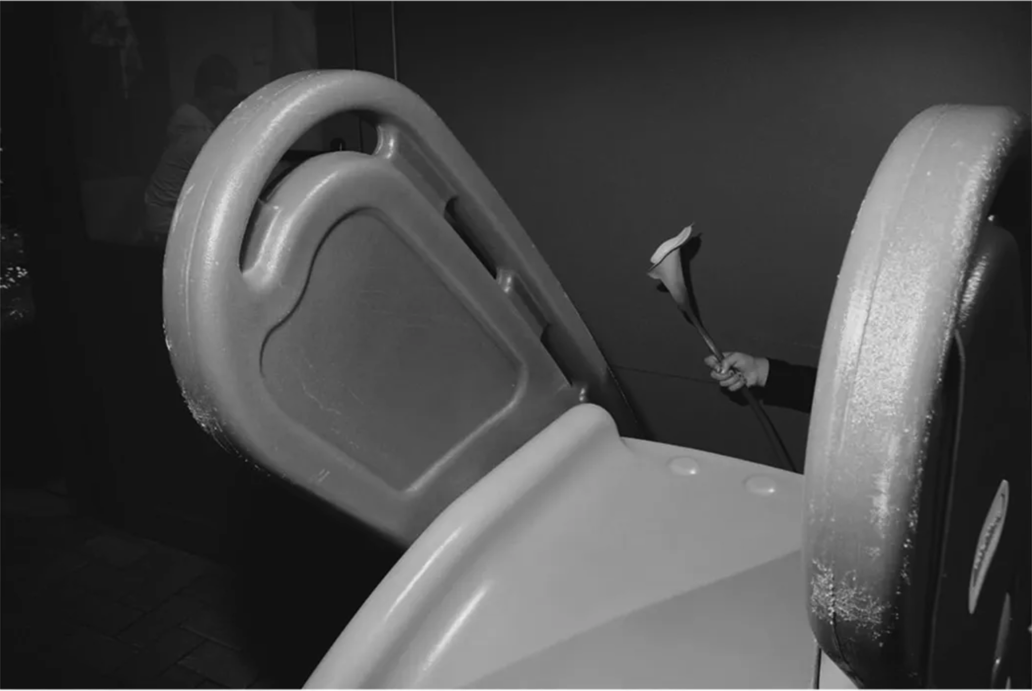 Un'illustrazione in bianco e nero di un water e di un'asta flessibile con un fiore in mano, visibile una mano che tiene il fiore.