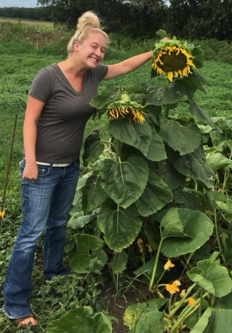 sunflower.png