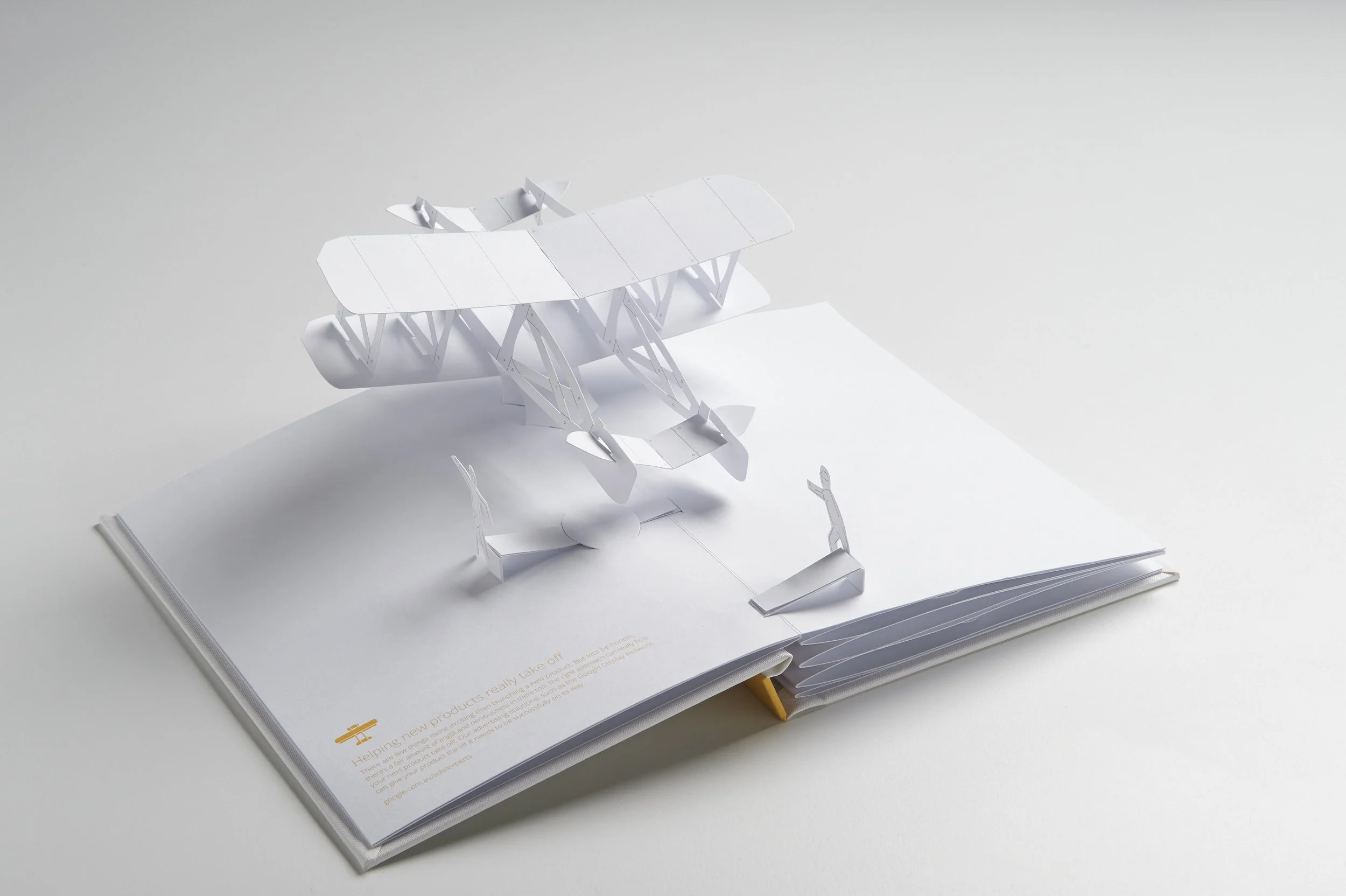 Pat Baron Google Book Plane.jpg