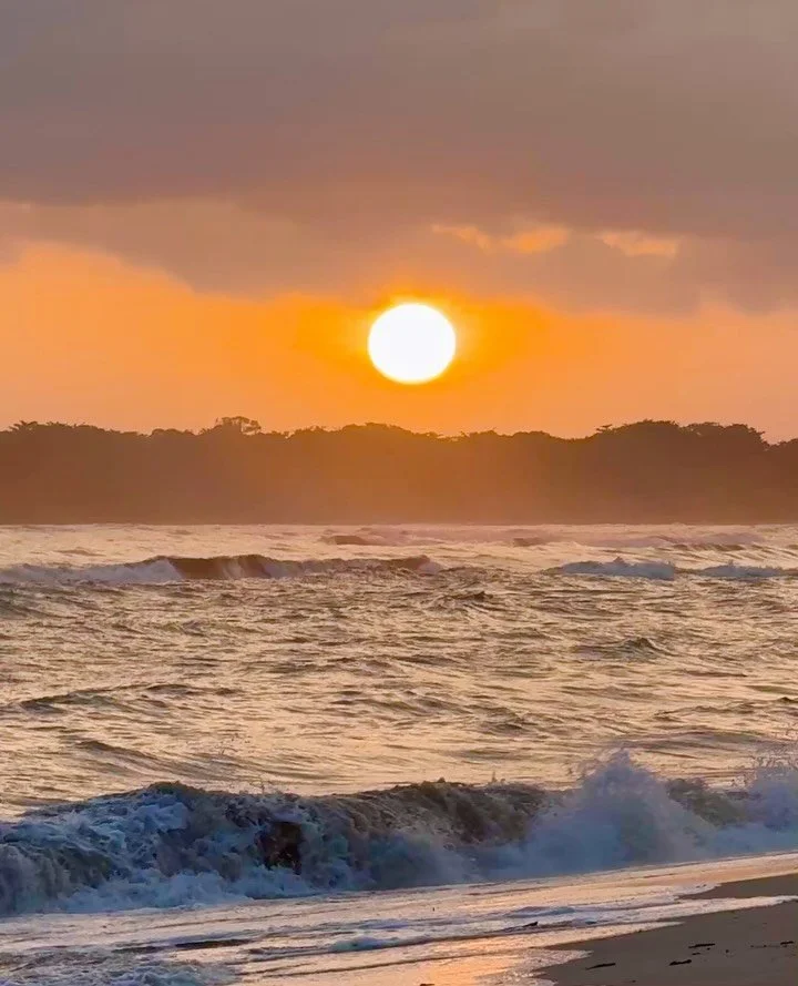 S O L S T I C I O
empieza un nuevo ciclo en la espiral de la vida

Hoy el Sol alcanza su posici&oacute;n m&aacute;s alta en el cielo (hemisferio sur, comienzo del verano) y m&aacute;s baja (hemisferio norte, comienzo del invierno), debido a la inclin