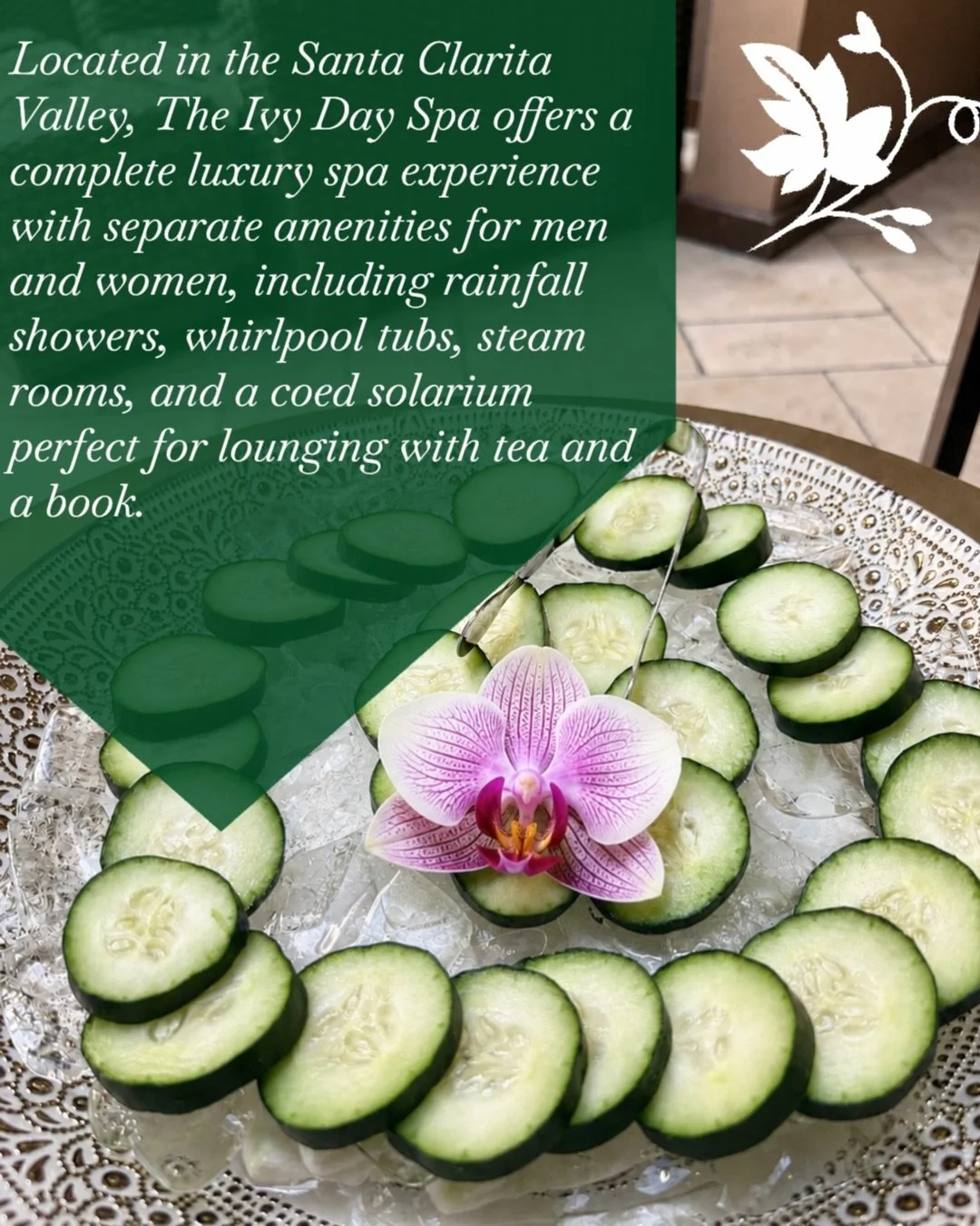 More than a spa day, a place to unwind, restore, and indulge in the moments you deserve 🍵🧖&zwj;♀️
From luxurious amenities to results-driven treatments like the Fire &amp; Ice Facial and HydraFacial, every detail at 🍃 ✨ The Ivy Day Spa is designed