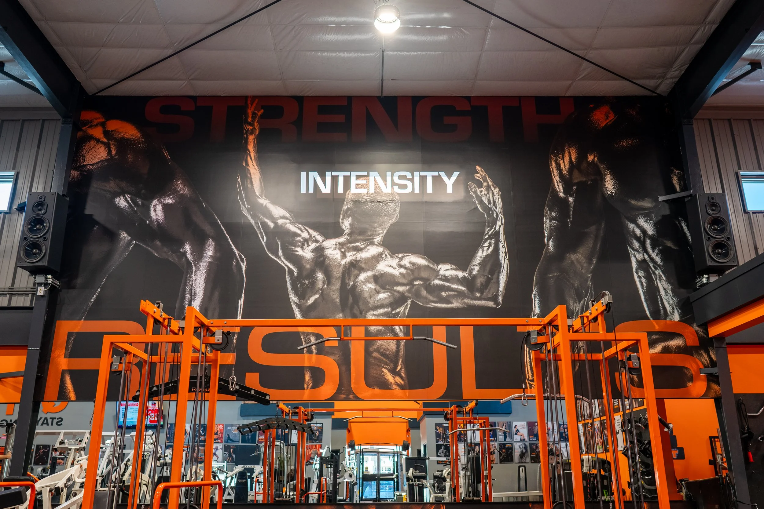 Fit Effect Interior 3M vinyl feature wall wrap