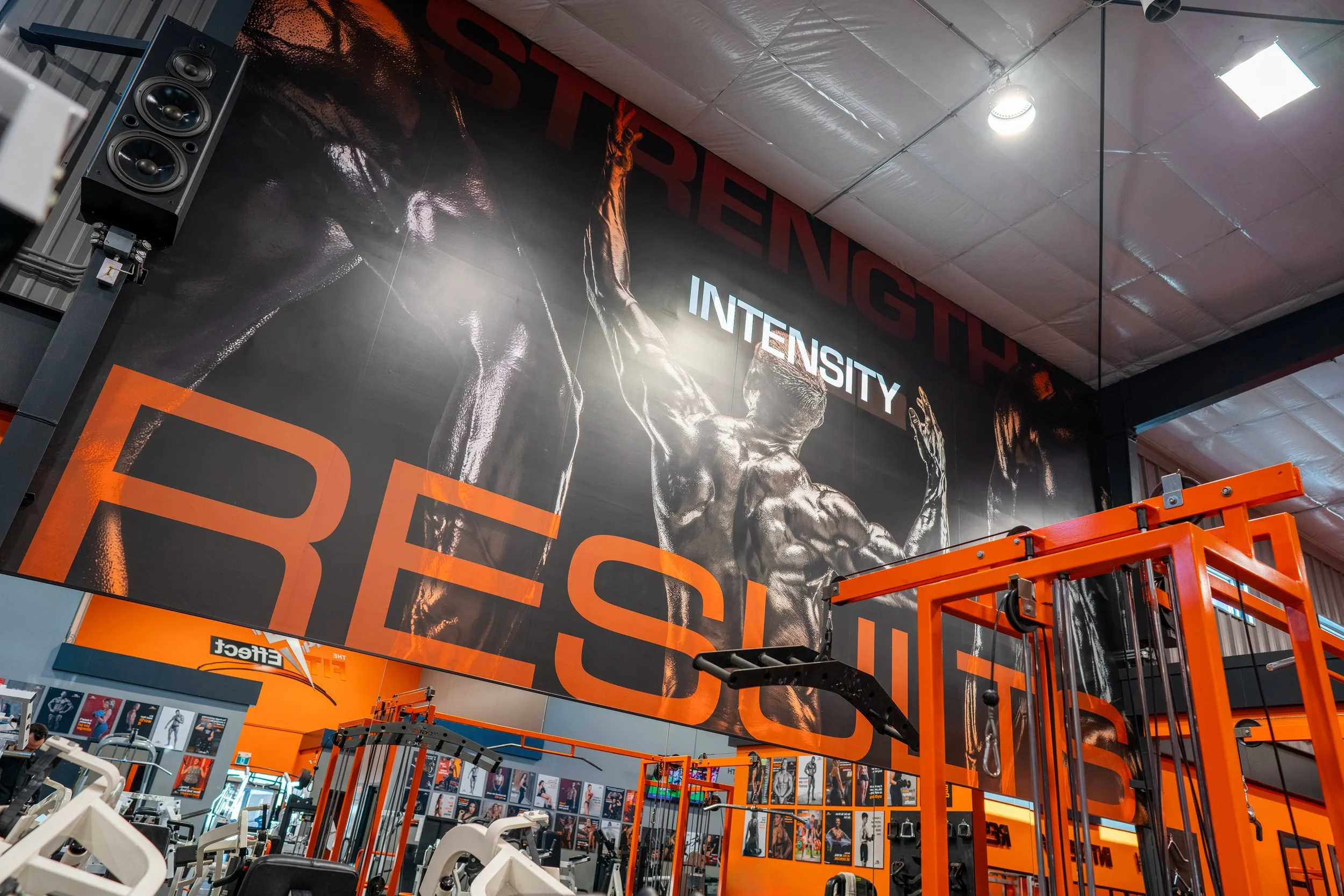 Fit Effect Interior 3M vinyl feature wall wrap