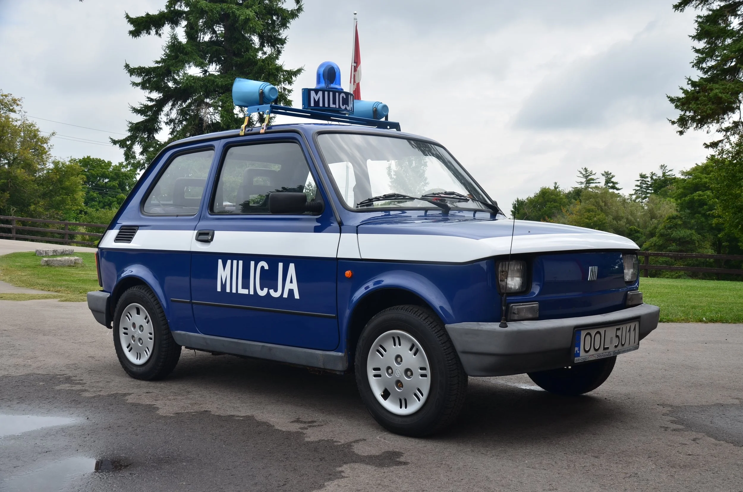 Custom Vehicle Graphics for Vintage Fiat