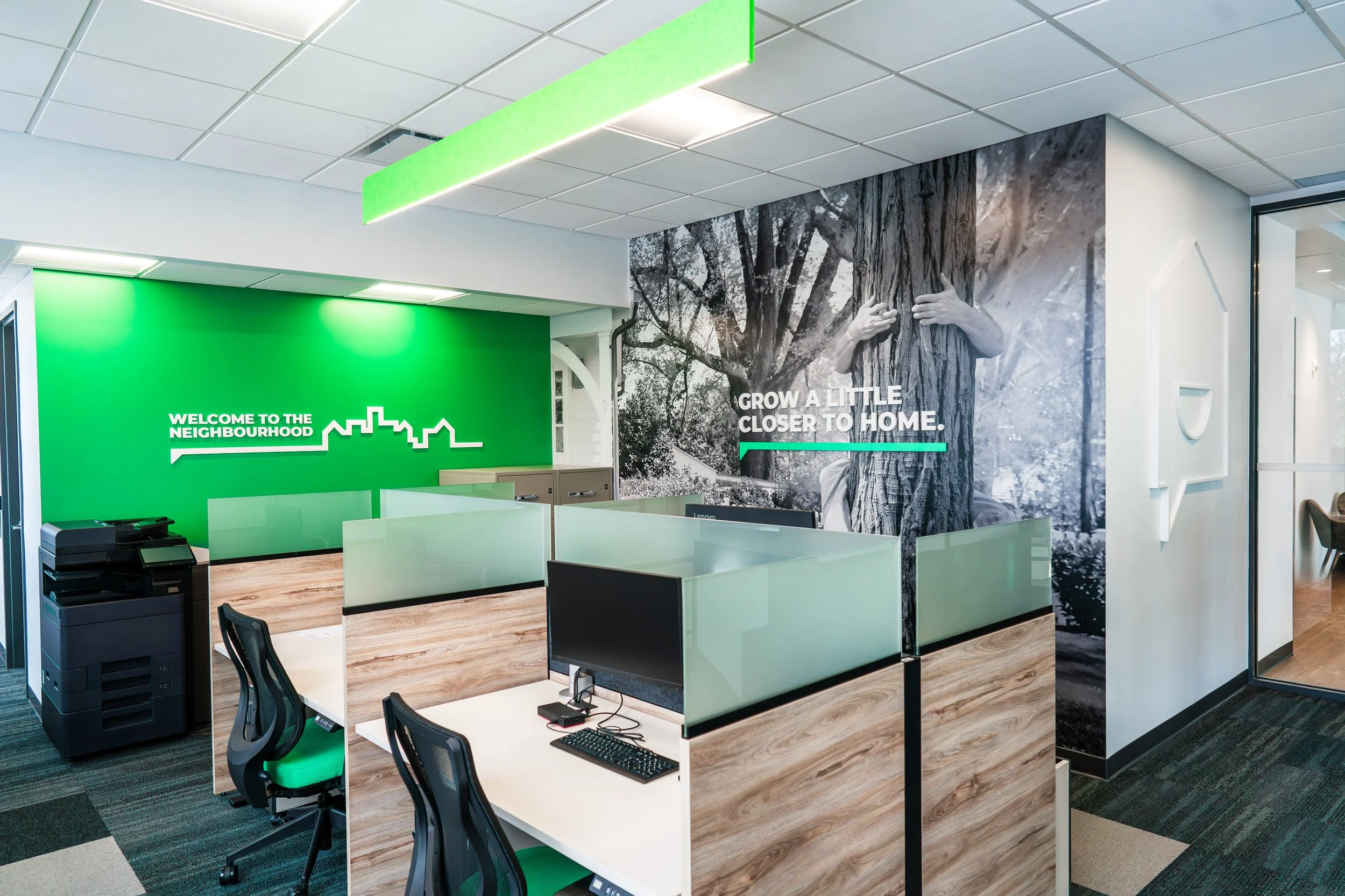 YNCU Interior wall wraps