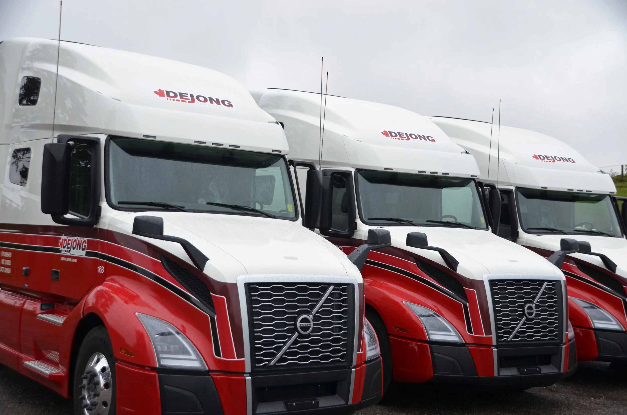 Lineup of Dejong Trucking trucks with matching fleet graphics