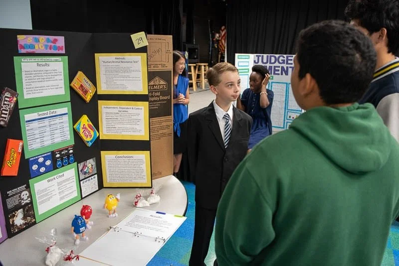  How to succeed at a Science Fair: A Practical Guide for Students Grades 5-12, and their Parents