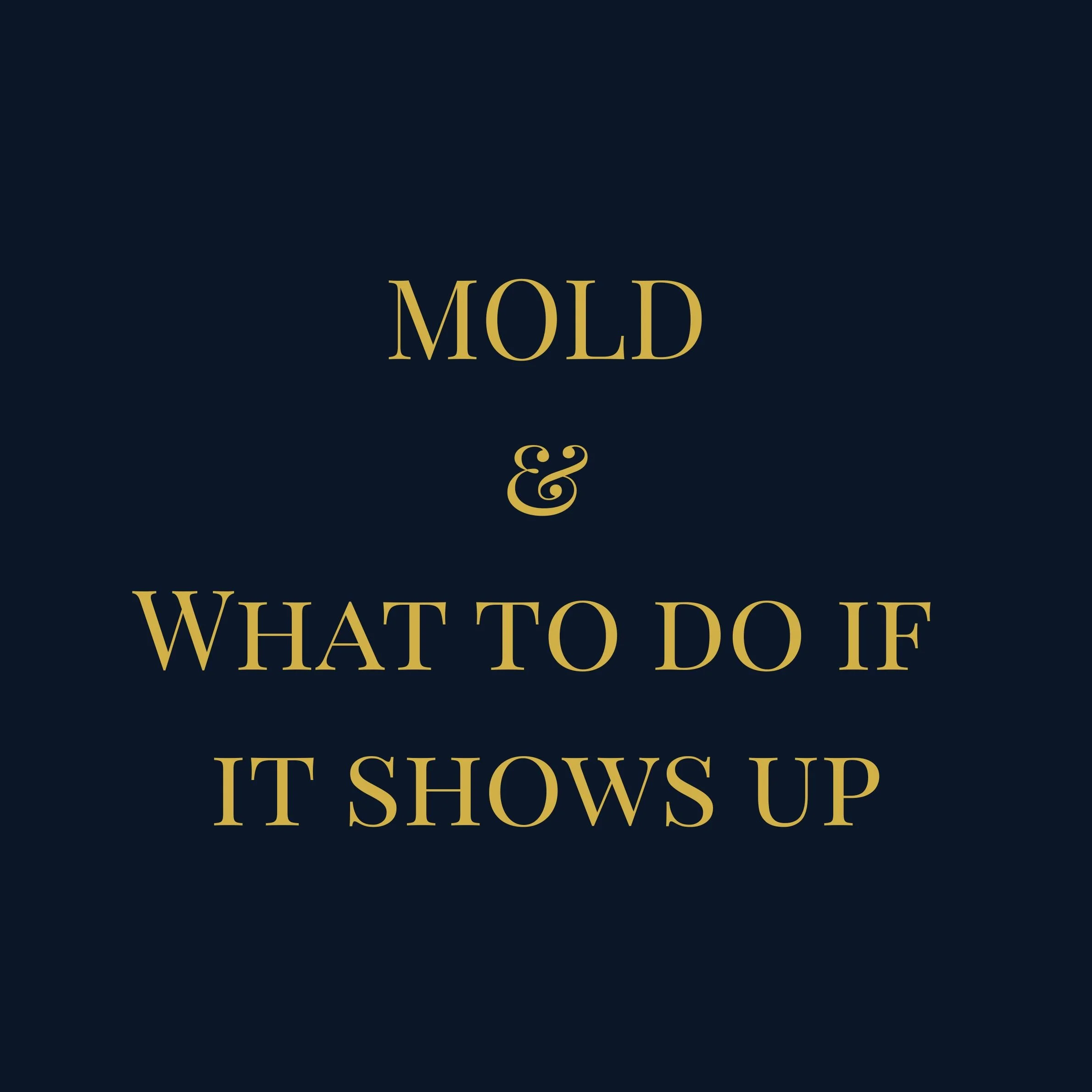 Black Mold Was Found During the Home Inspection. Here’s How We Still Sold for More.