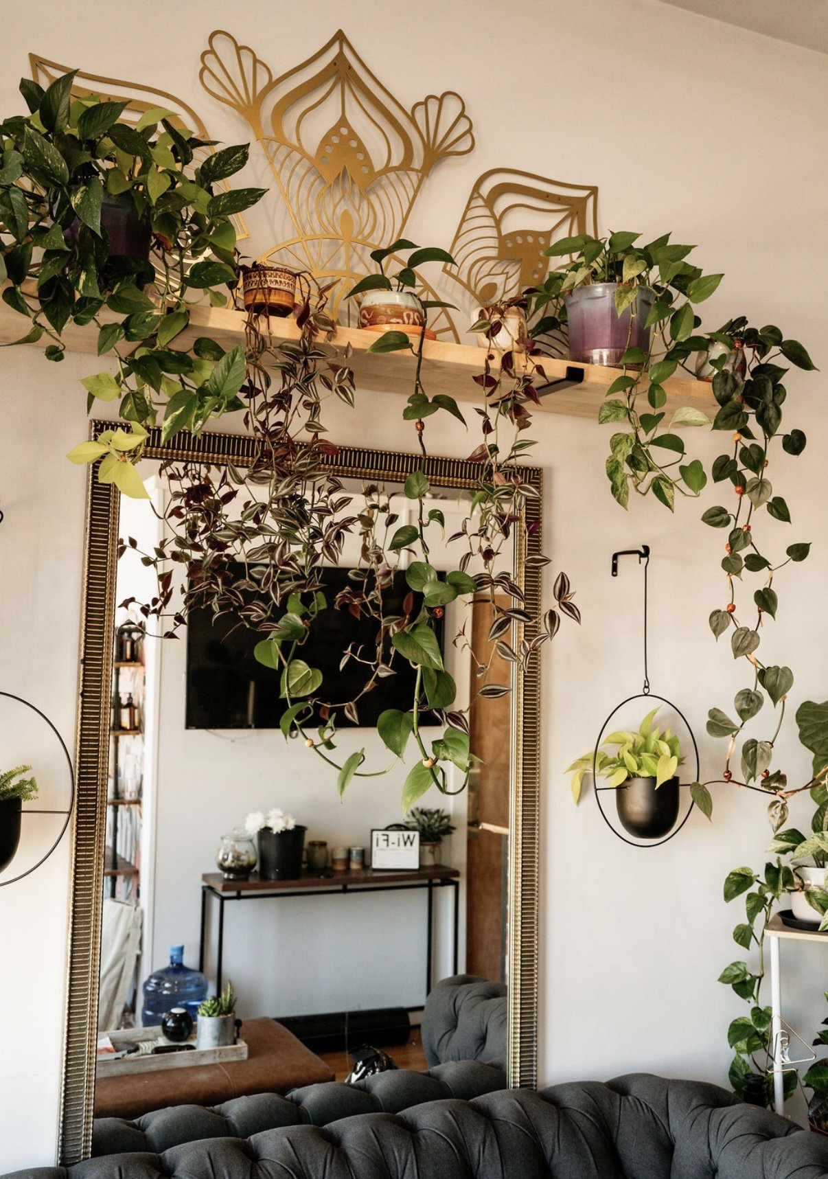 Interior of a living space with a large mirror, hanging and potted plants, a shelf with decorative items, and a TV in the background.