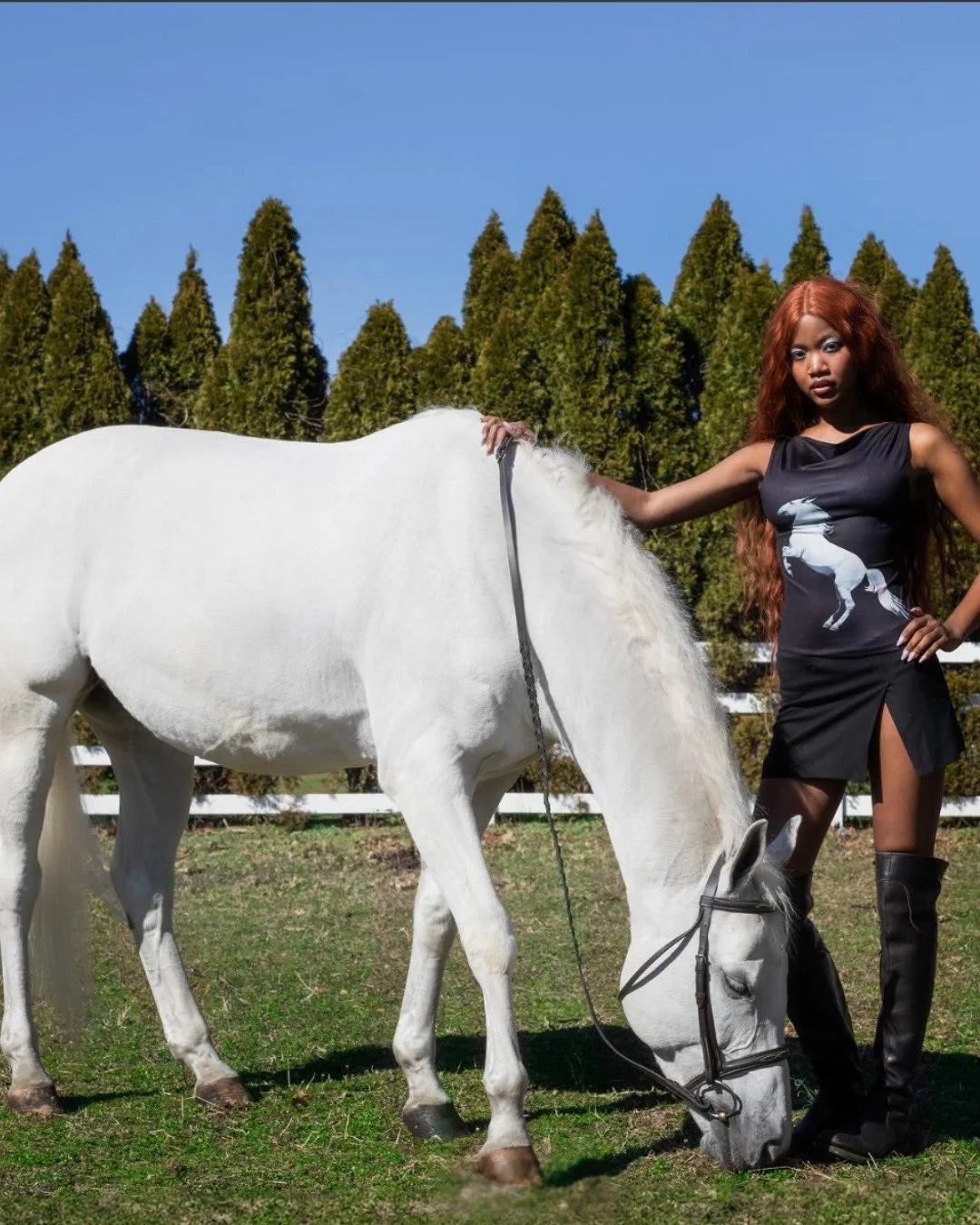 celebrate year of the horse 🐴

w/ @tylermcgillivary's simone equestrian top. sold out everywhere else except year of the rat 🐀⭐️

feat. a full-body white horse graphic across the torso, cowl neck, + a versatile off-shoulder fit.

(1) size L availab