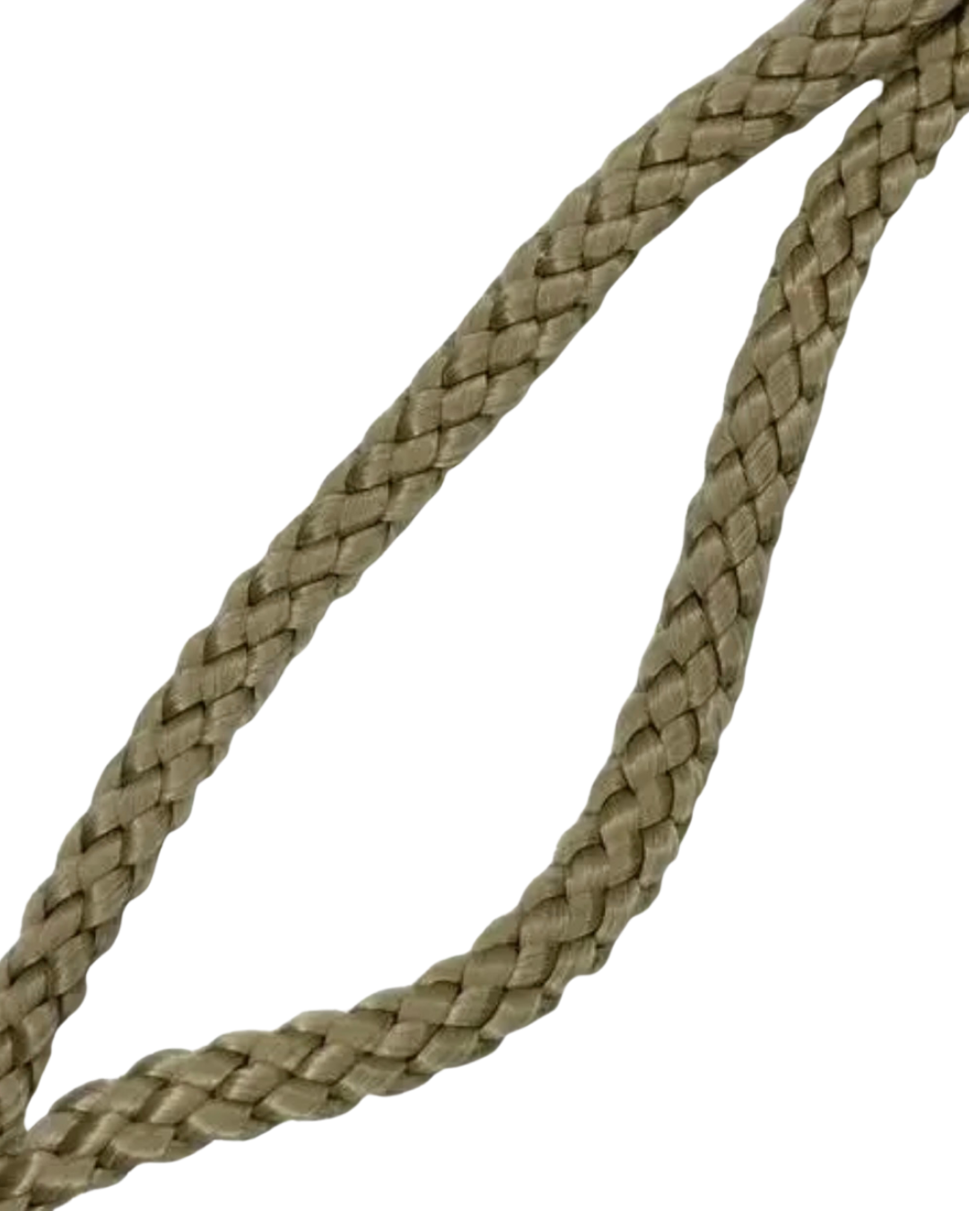 19.png