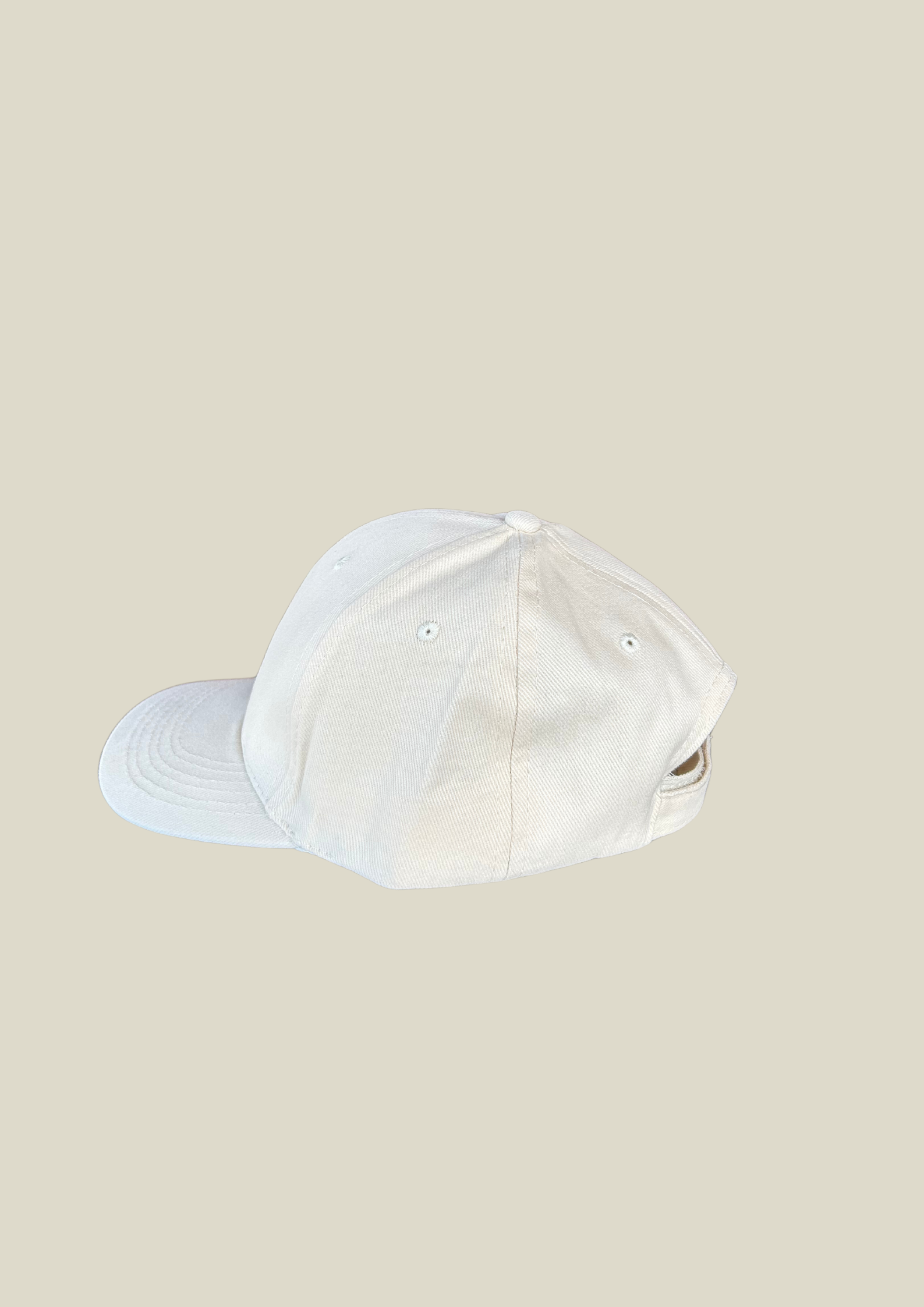website hat .png