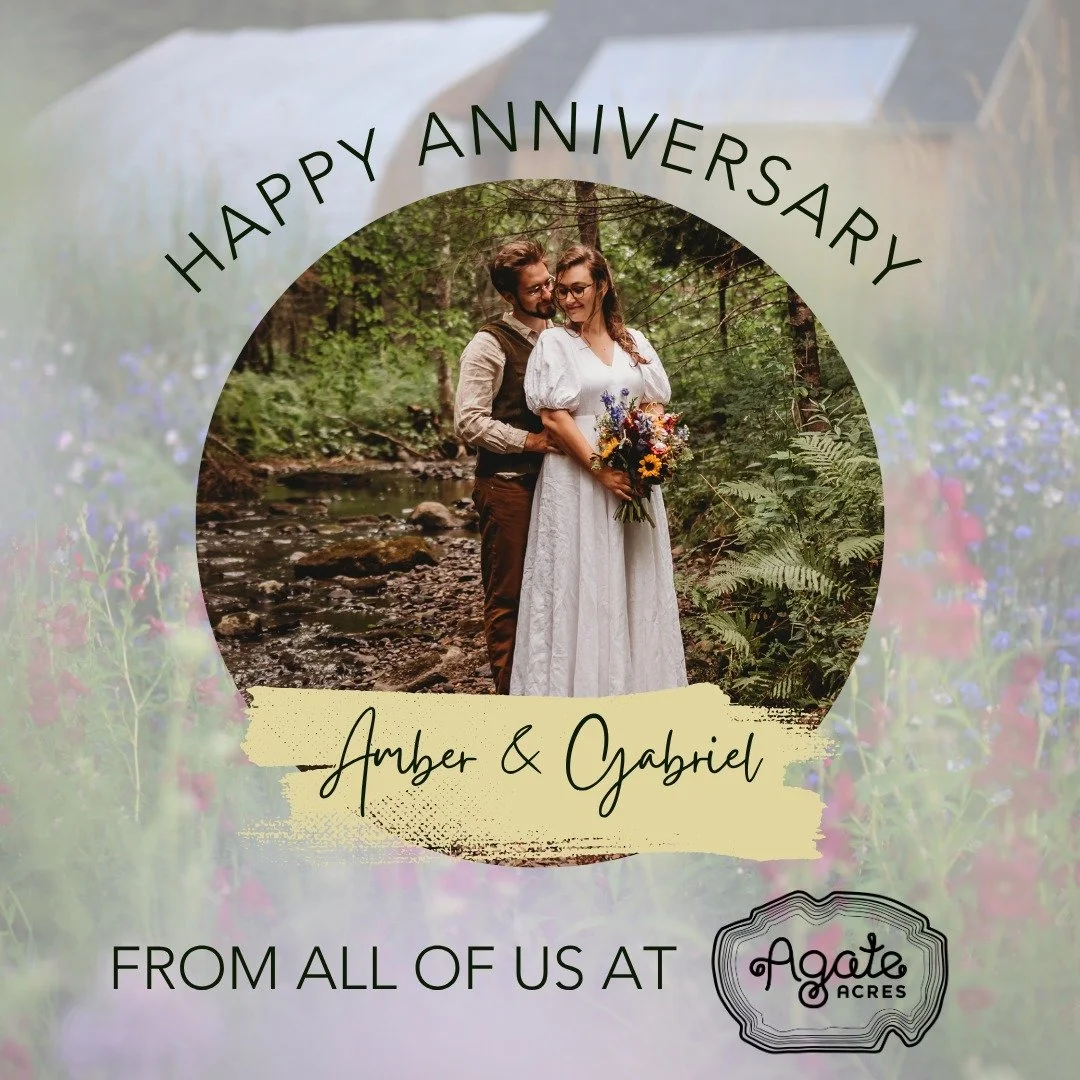🎉 Happy 1st Anniversary, Amber &amp; Gabriel! 💕
One year ago today, you celebrated your love in the most beautiful way&mdash;surrounded by nature, joy, and the people who matter most. It feels like just yesterday we watched you walk down the aisle 