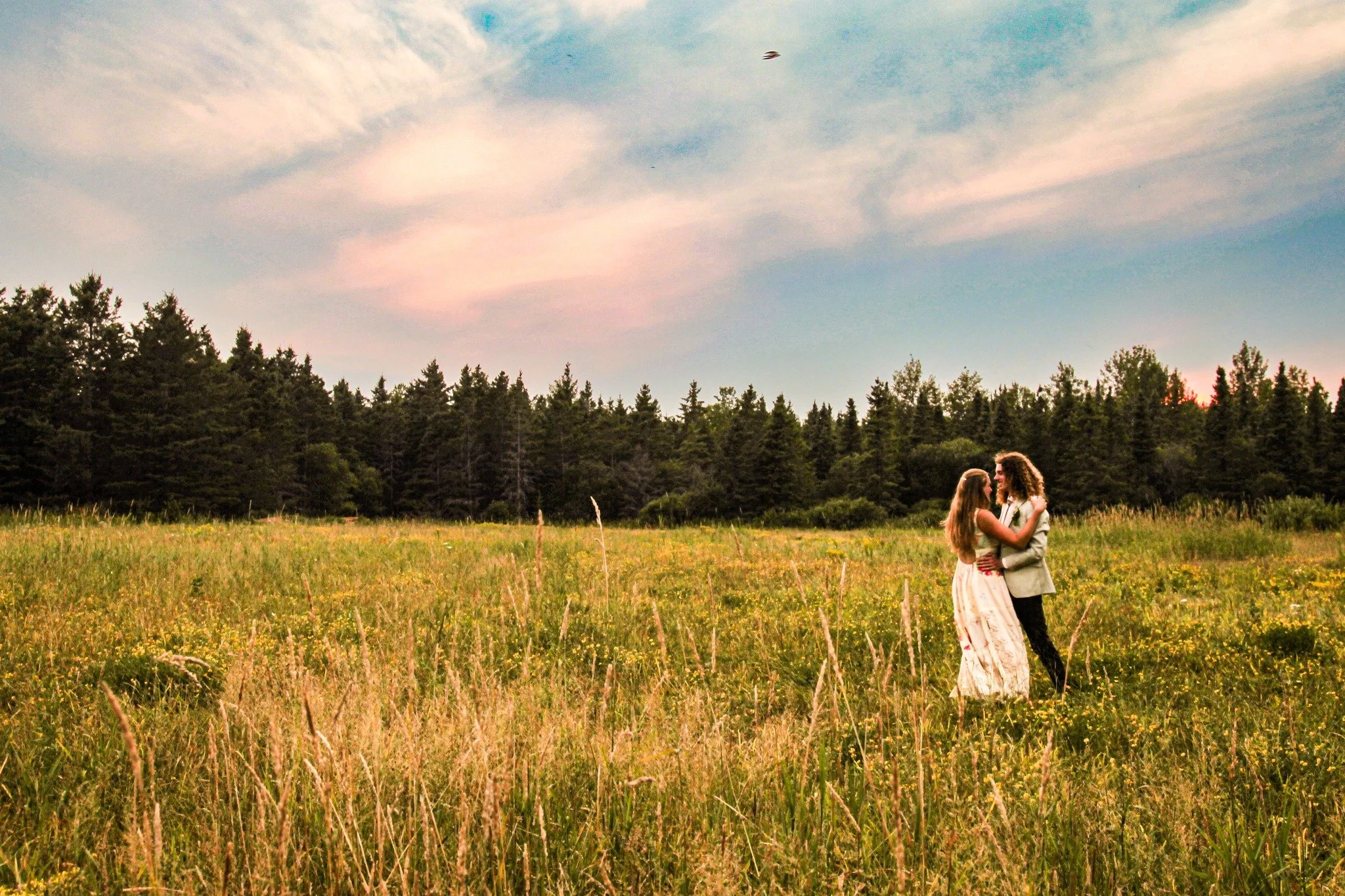 Skies of pink &amp; blue and fields of yellow &amp; green. We love this season for weddings!

 #NorthShoreMN #AgateAcres #thiscouldbeyou #northshorewedding #sayido #flowerfarmwedding #elopements #flowerfarmvenue #northshoremnwedding #twoharborsweddin