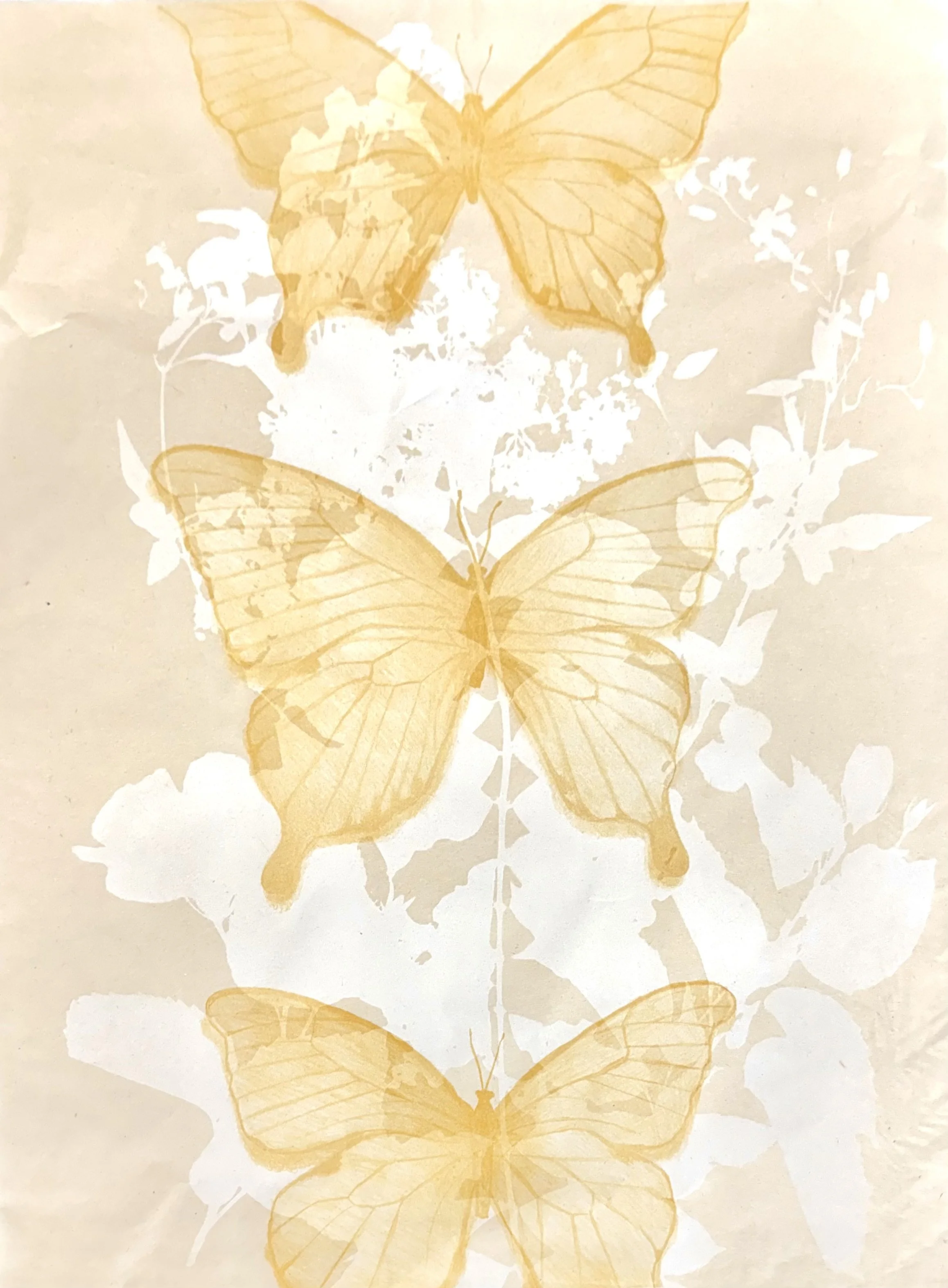 "Untitled (Butterflies)", 2025, lithograph, 18x24"