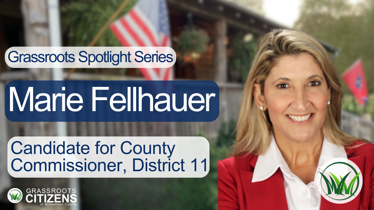 Meet Marie Fellhauer, Candidate for County Commissioner in District 11