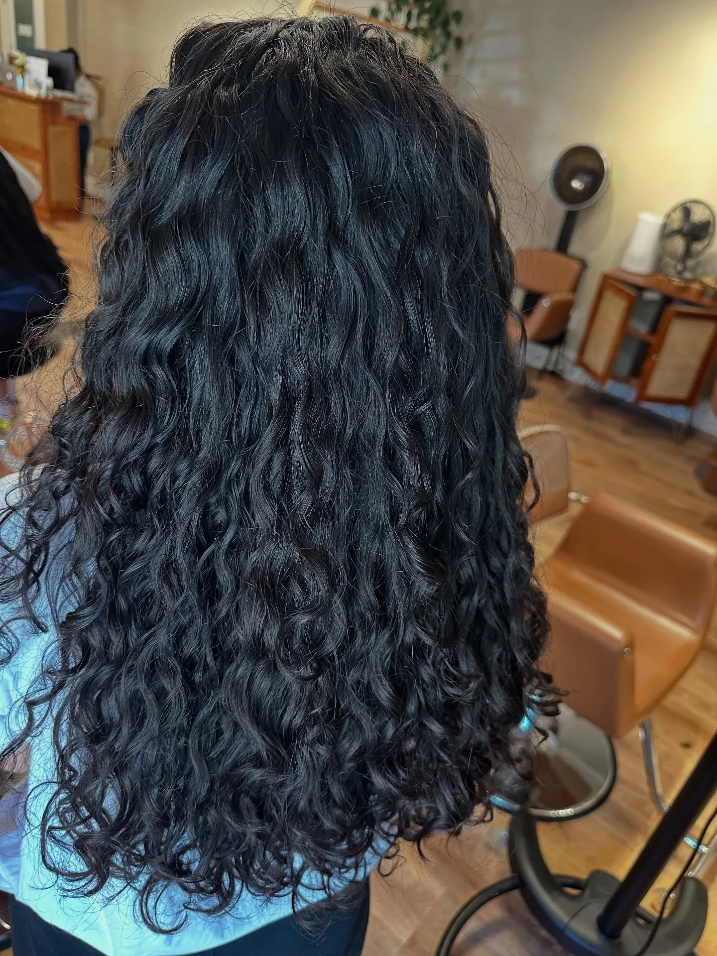 Curl goals alert! 😍😍 Fresh cuts can totally transform your texture - sometimes a new shape is all you need to make those curls POP!

#curlsfordays #curlycut #innersenseorganicbeauty #rochesternyhairstylist