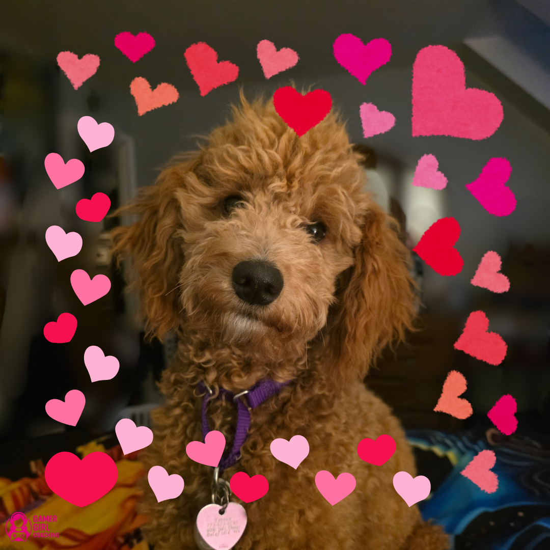The Companion Character: What Your Pet Is Actually Doing for Your Mental Health