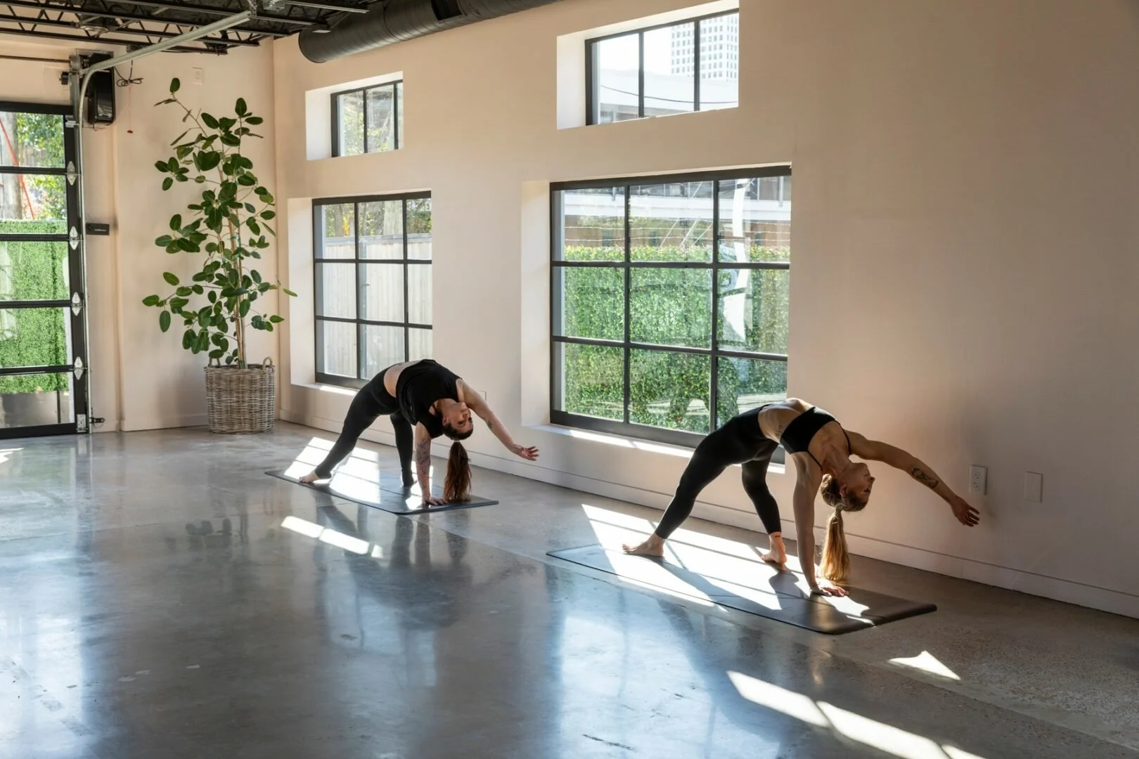 True North Yoga Sadhana