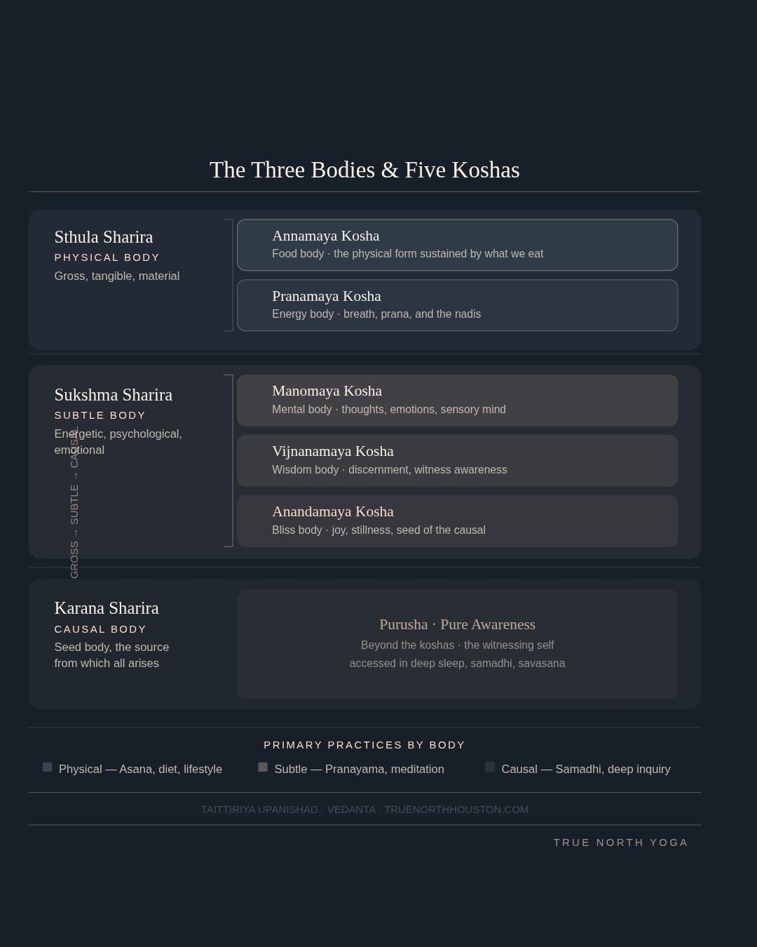 You Are Not Just a Body in Poses