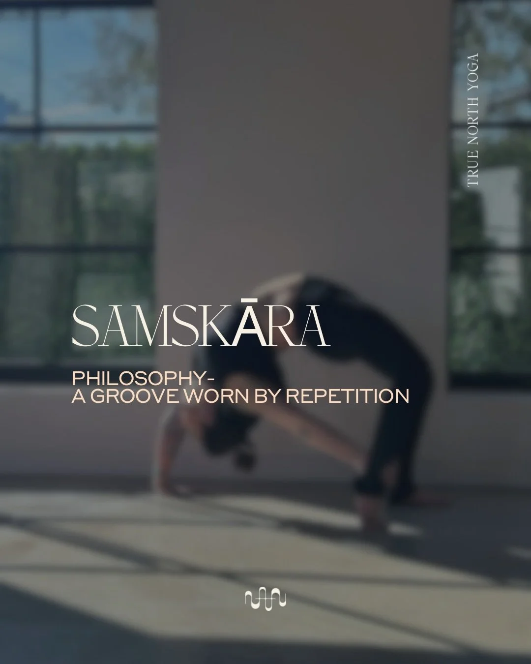 Samskaras act as both the consequence of past karma and the driving force behind future karma. 

Yoga Studio Houston, Hot Yoga, Yoga Philosophy