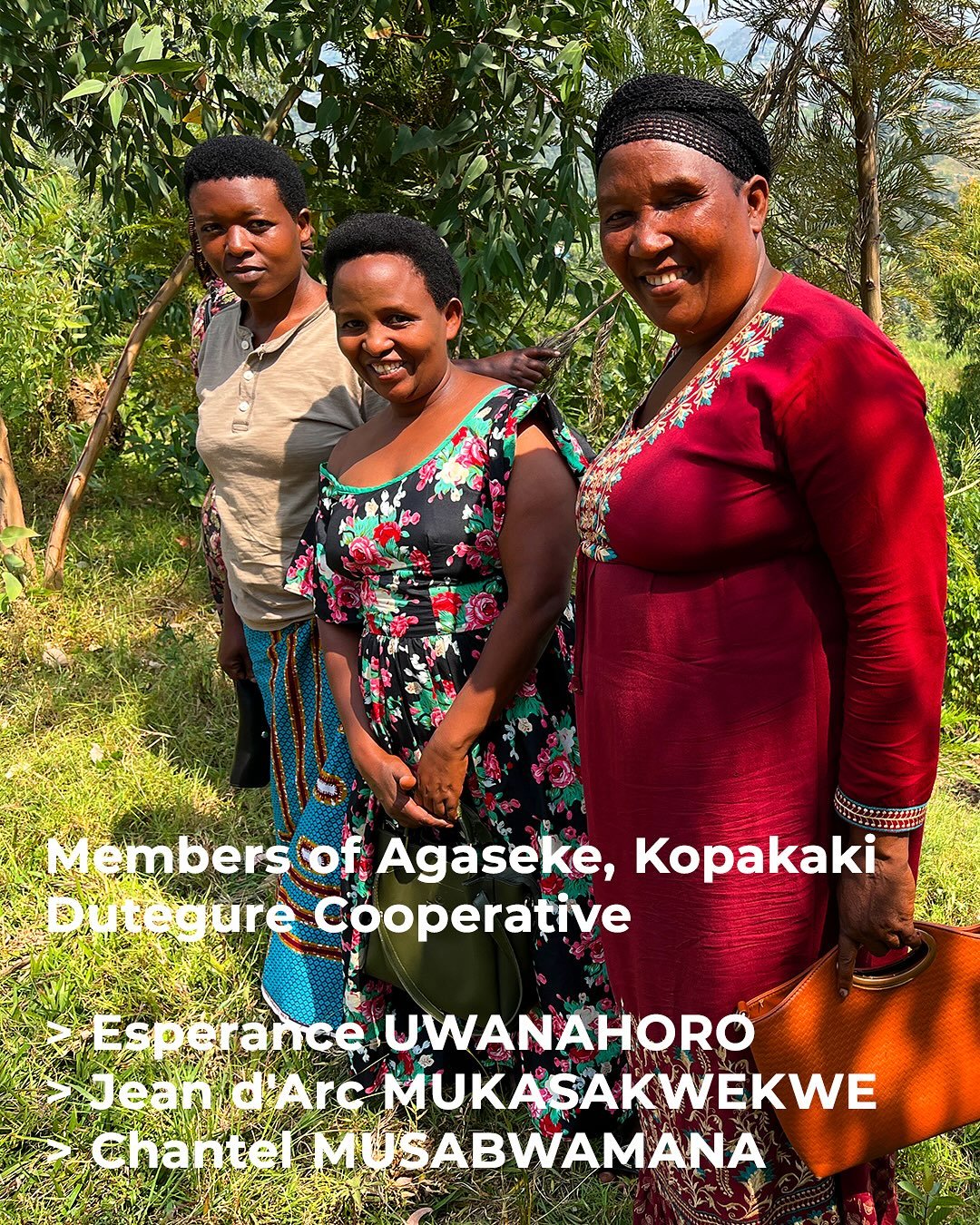 Meet some of the women from the Agaseke Women's Group, members of Kopakaki Dutegure Cooperative @kopakakidutegure located in Karongi District, Western Province on the shore of Kivu Lake 🇷🇼⁠
⁠
Esperance UWANAHORO, Jean d'Arc MUKASAKWEKWE and Marie C