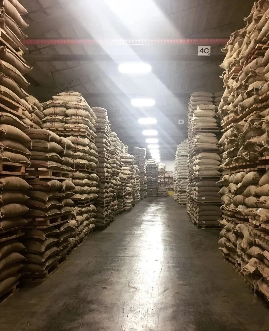 Ethiopia has landed! Our container with Dehab's Diamond and Moplaco coffees was unloaded, moved to Continental Terminals, NJ,  and the warehouse has completed their intake processes. ⁠
⁠
This coffee joins the Mehbuba and Limu Seka Atnago coffees that