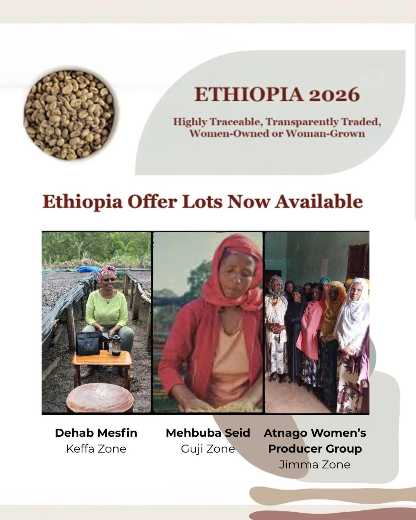 New Ethiopia coffee!!!⁠
⁠
Offer samples from the 2026 harvests from our Ethiopia producer partners are now available to review. These coffees are highly traceable, transparently traded and women grown.⁠
⁠
We have a variety of fully washed, natural an