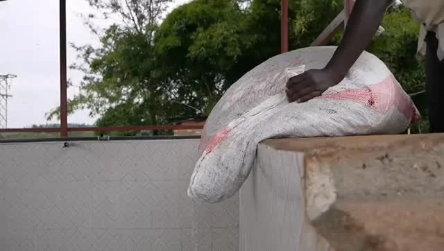 Justin TUYISENGE, head agronomist at the Kopakama Cooperative @kopakamacoffee in Rutsiro, Mushubati, Rwanda shared an update on infrastructure improvements designed to increase the quality of the special process lots from the women's group Ejo Heza.⁠