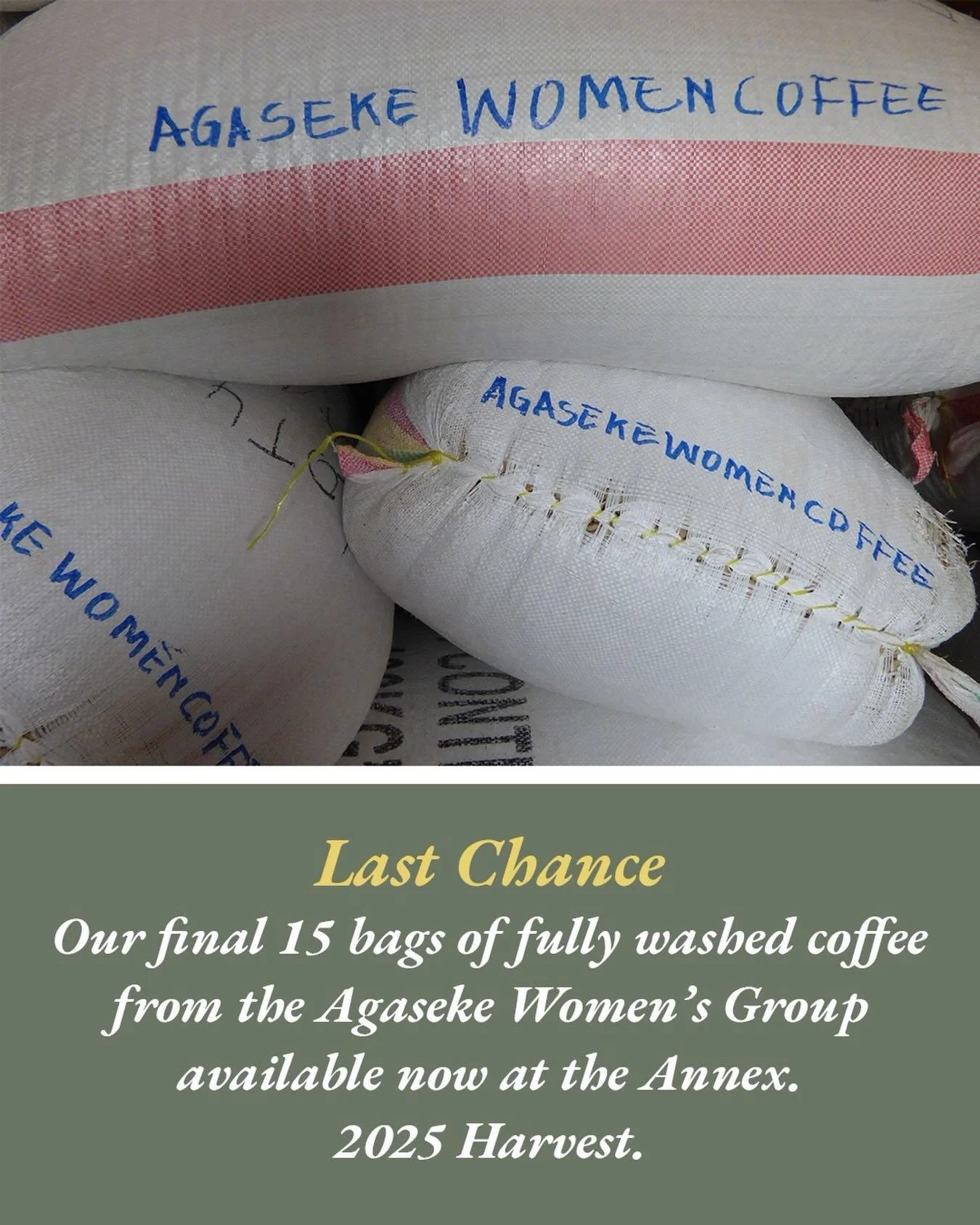 🎺 Last Chance! 🎺⁠
⁠
We have 15 bags of fully washed coffee from the Agaseke Women's Group of the Kopakaki Dutegure Cooperative in the West, Karongi district of Rwanda remaining at the Annex.⁠
⁠
Tasting Notes:⁠
⁠
Aroma: Chocolate, Butterscotch⁠
Flav