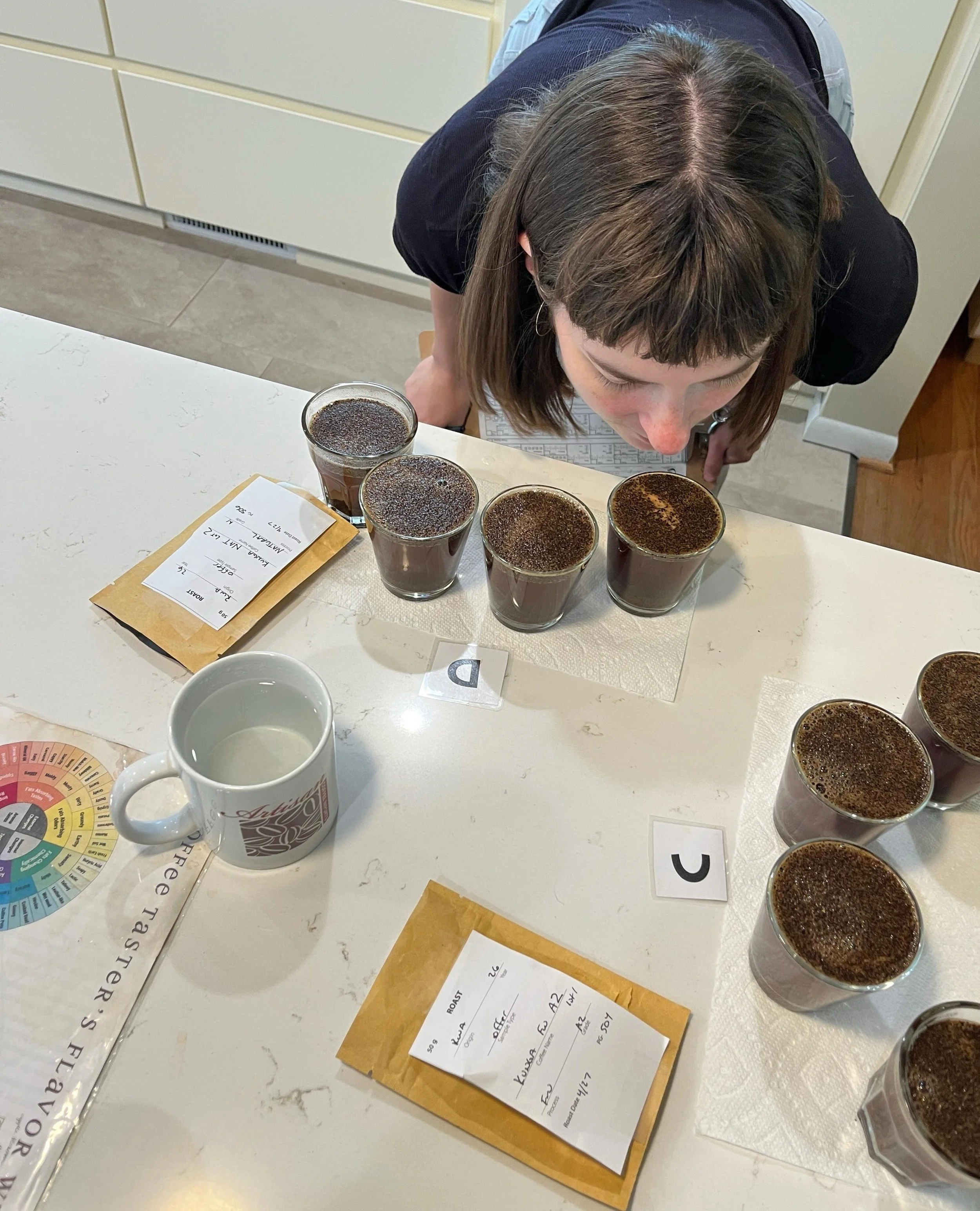 Arrival samples for the Kungahara Women's Group of the Bwishaza cooperative in the West, Rutsiro district, Rwanda are on the table, and the Artisan team has a great time cupping them! 🥄🥄🥄⁠
⁠
This year, Artisan bought fully-washed, Gr. A1 and A2, n