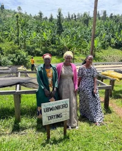 Looking to supplement your menu with delicious fully washed grade A1 coffee from Rwanda? Four bags of current crop are available from the Kungahara women of the Bwishaza Cooperative, Western Province, Rutsiro District. This coffee arrives to New Jers