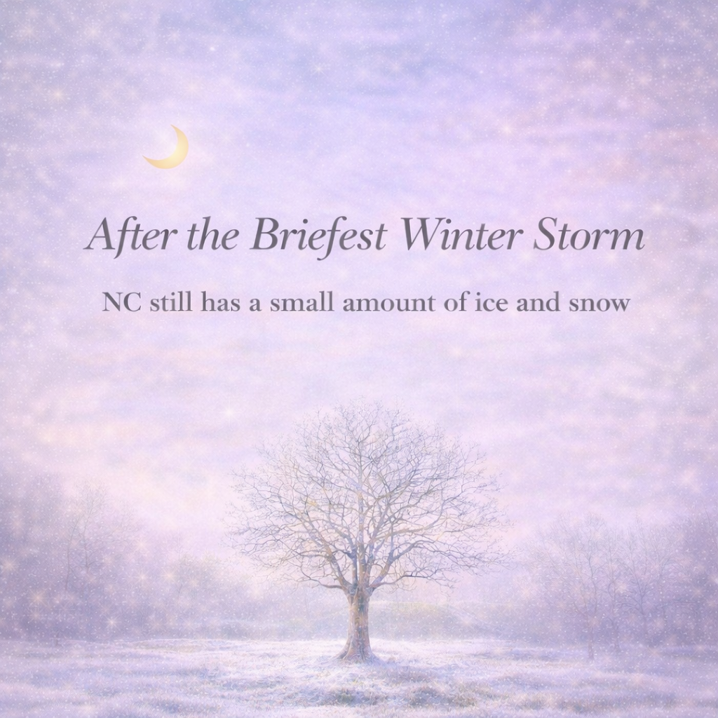 After the briefest Winterstorm