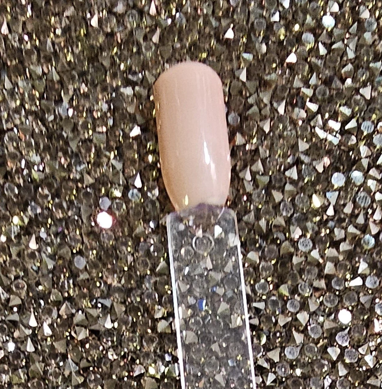 Pink 11 shell veil.jpg